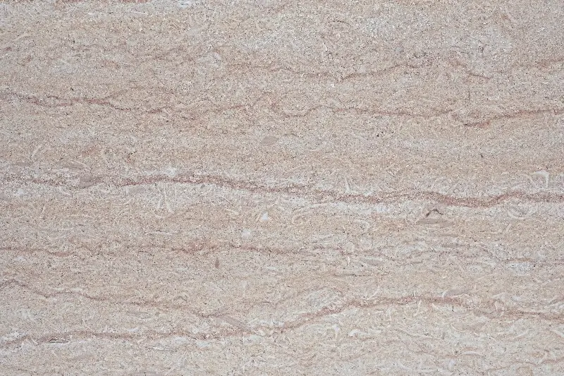 Selvia Menia Brushed