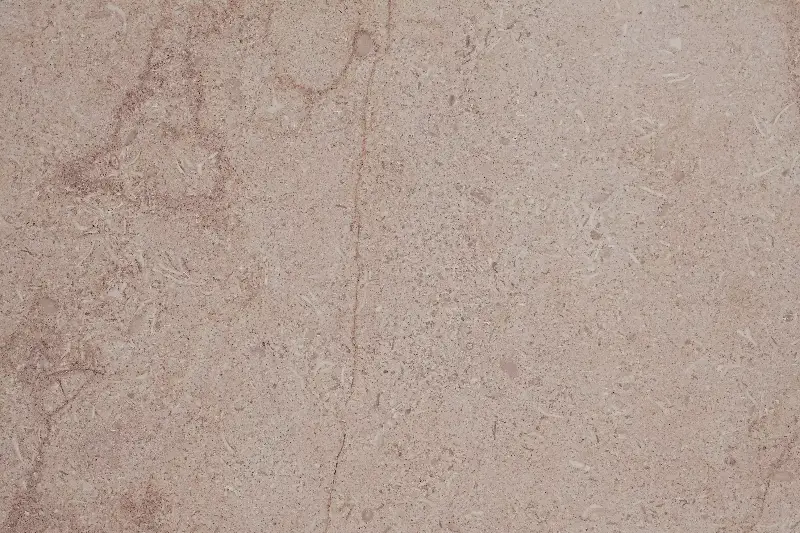 Sunny Menia Polished